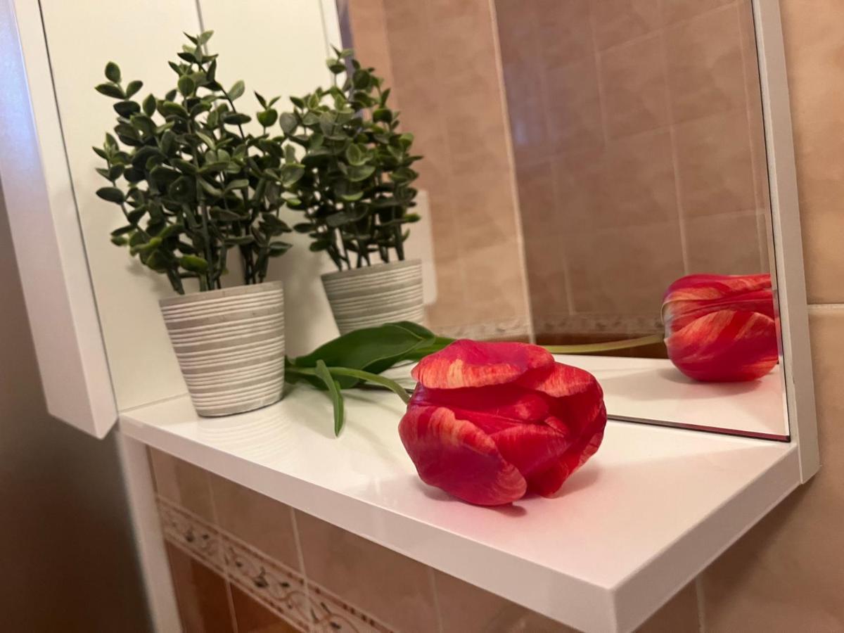 Apartment Lala Sombor Luaran gambar
